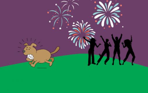 Fireworks safety for pets
