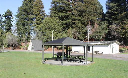 Contract opportunity for the Dannevirke Campground
