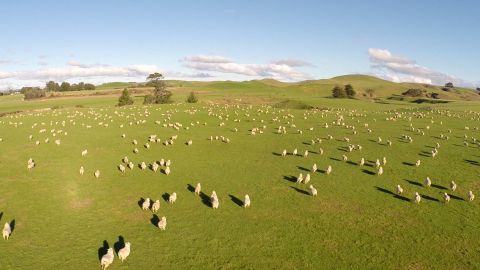 Tararua Grant Finder